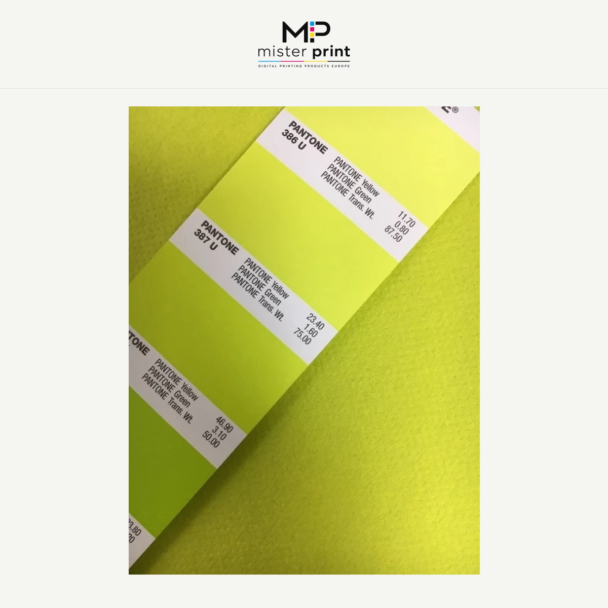 Paper tablecloth and placemat – Single items and rolls