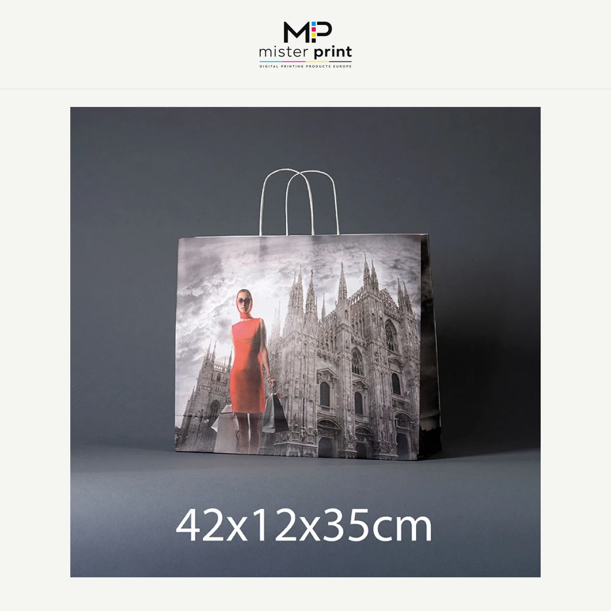 Paper bag 120 or 140 grs XL