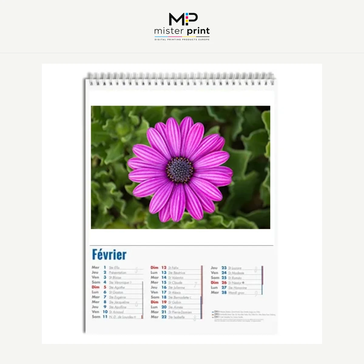 Wall calendar