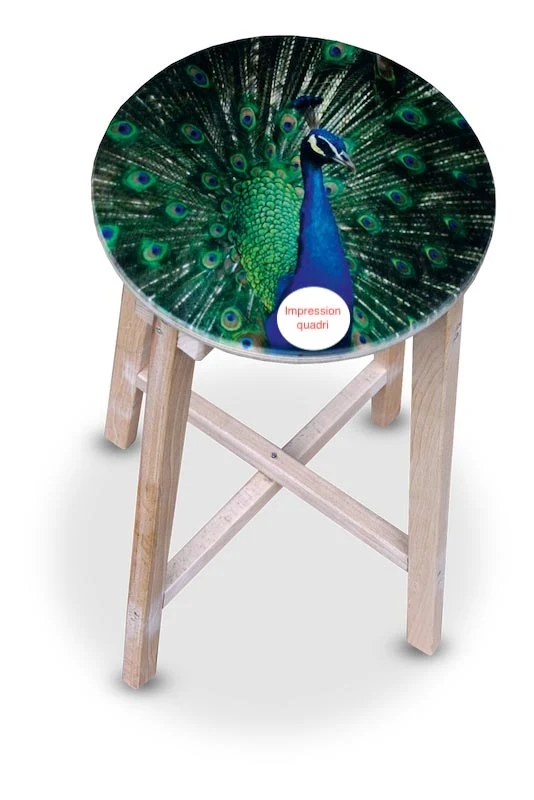 Printed folding stool